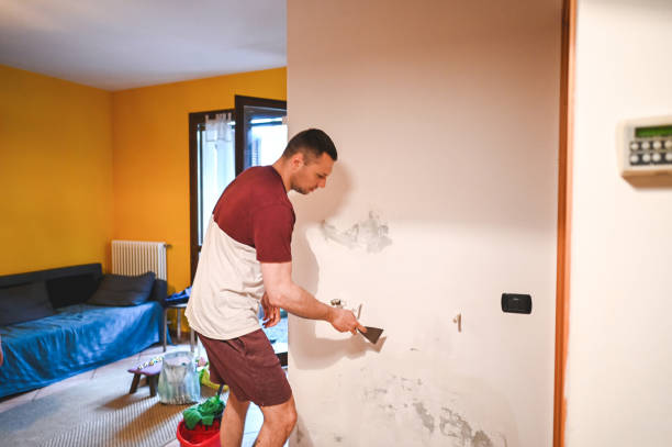 Best Residential Mold Remediation in New Kingman Butler, AZ